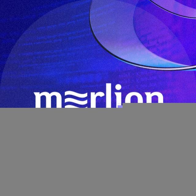 Merlion – Программное обеспечение