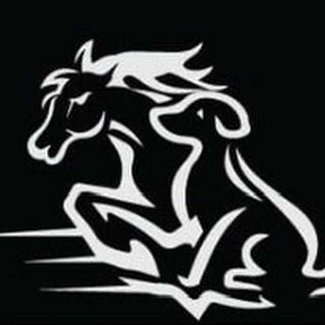 Insider Edge Bets FREE