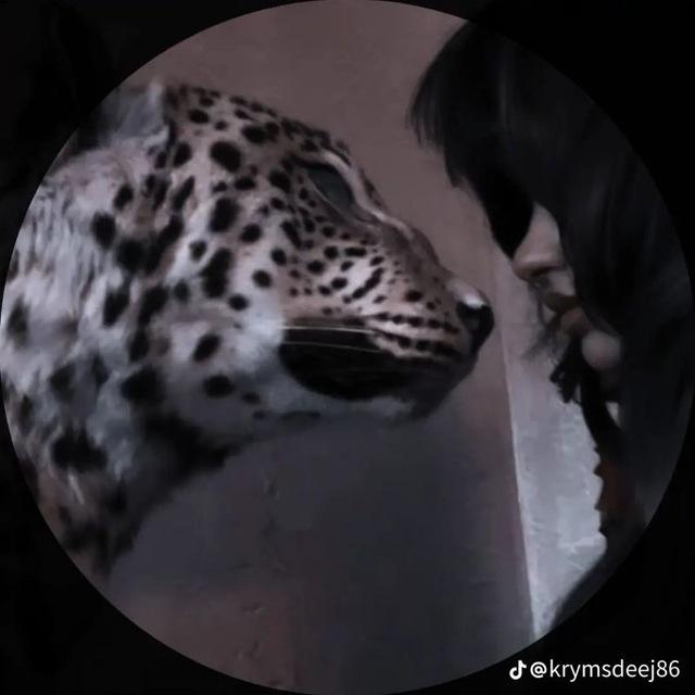 𓏺 ™ 𝐊𝐀𝐄𝐓𝐒𝐎|ڪاتـســَو .
