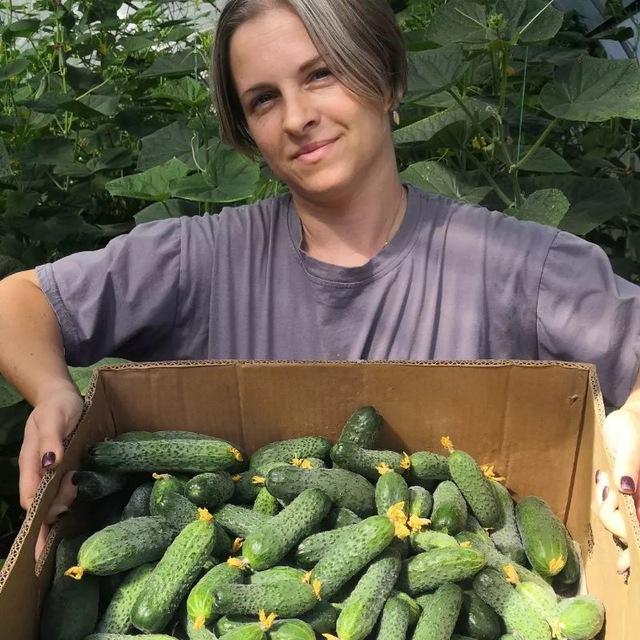 Аня Фермер Коржи