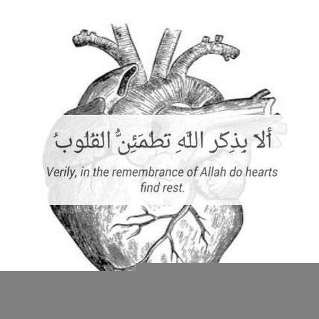 أَلَا بِذِكْرِ اللَّهِ تَطْمَئِنُّ الْقُلُوبُ ♥🍃