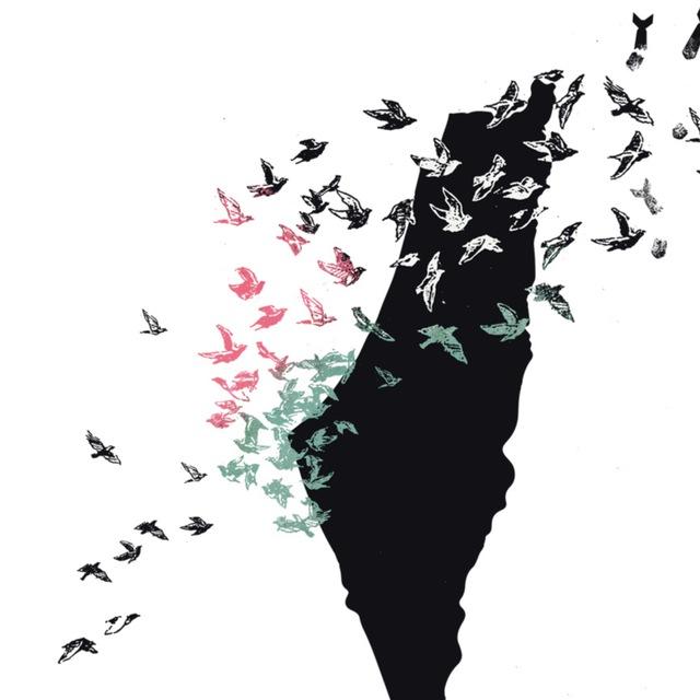 Prou Complicitat Amb Israel