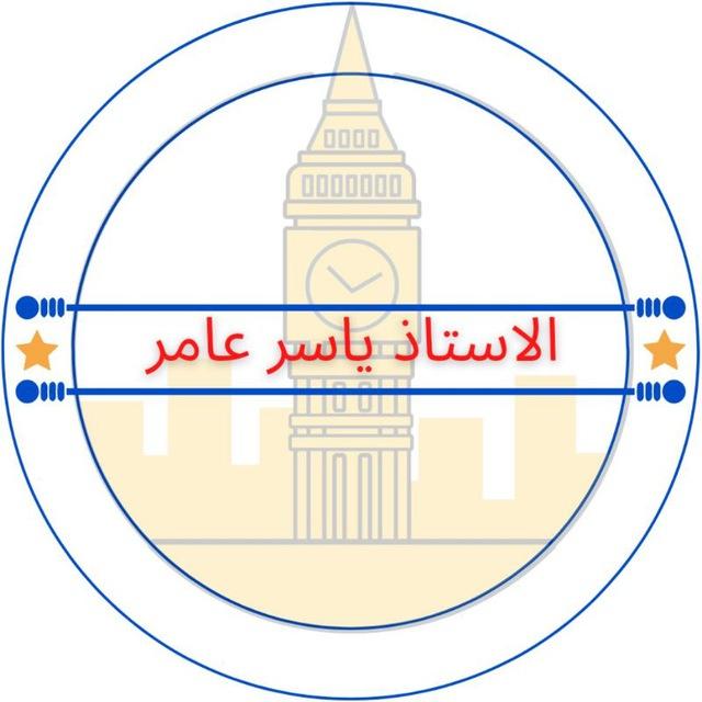 الاستاذ ياسر عامر