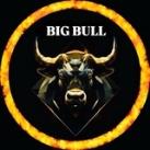 BigBull Official Calls🎱
