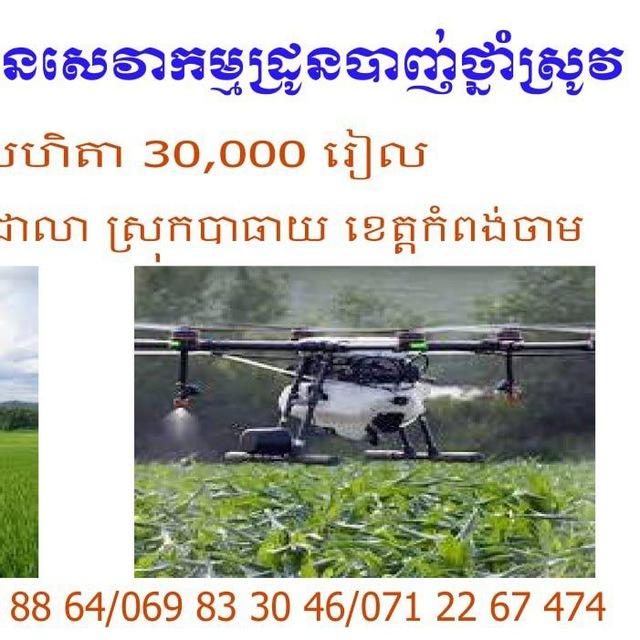 ឯកទេសដំណាំកសិកម្ម ✍️