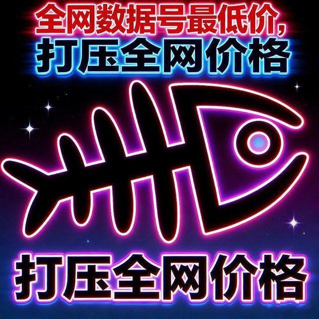 鱼骨数据号【三角洲防冻结】