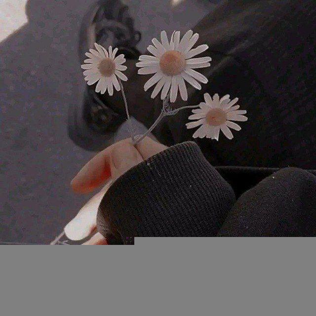 أقحوان🌼🤍