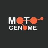 MotoGenome / Мото Геном