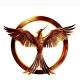 Phoenix Mentorship Official (GPSC mains by phoenix)