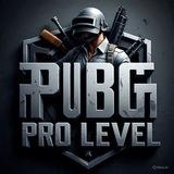PUBGPRO LEVEL