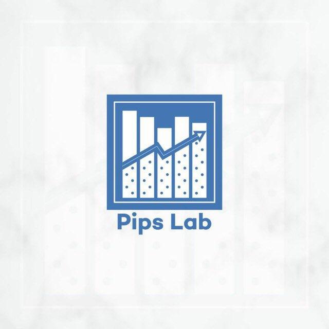 PIPS LAB ACADEMY