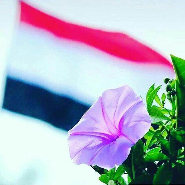 مجموعة،طلاب،علم،قنات،مواعظ،زومل،شلات،مغرد،صعدة،كتب،صور،جديدة،حلات،الغدير،عيد،الولاية،اخر،مغارد،نكت،رازحية،برامج،هكر،2026