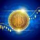 Crypto Insights