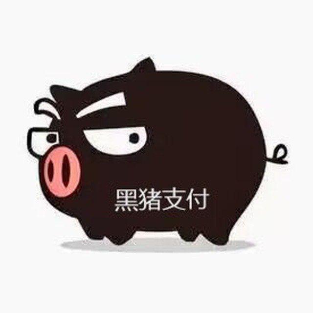 黑猪支付通知新群