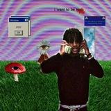 Vlone