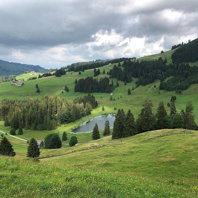 Хранители профитов ОТС