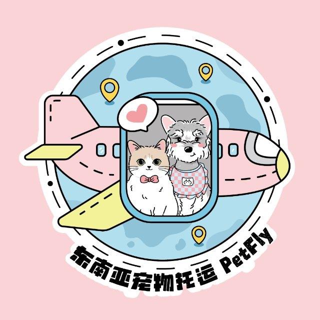 东南亚宠物托运运输🐻
