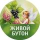 ЖИВОЙ БУТОН | цветы и ягоды | Тюкалинск