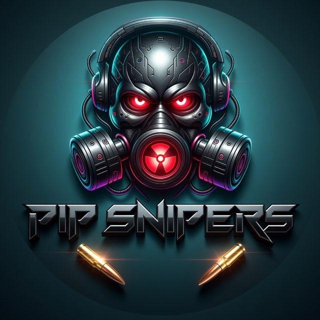 PIP SNIPERS 360 CHAT