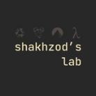 shakhzod's lab