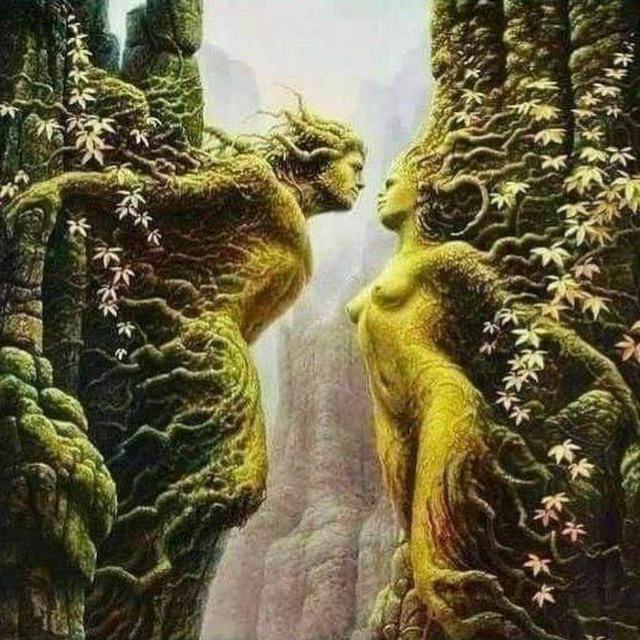 Wissen & Bewusstseinsreise ⚡✨❤️🧠✨⚡