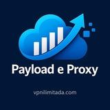 Payload e Proxy - VPN