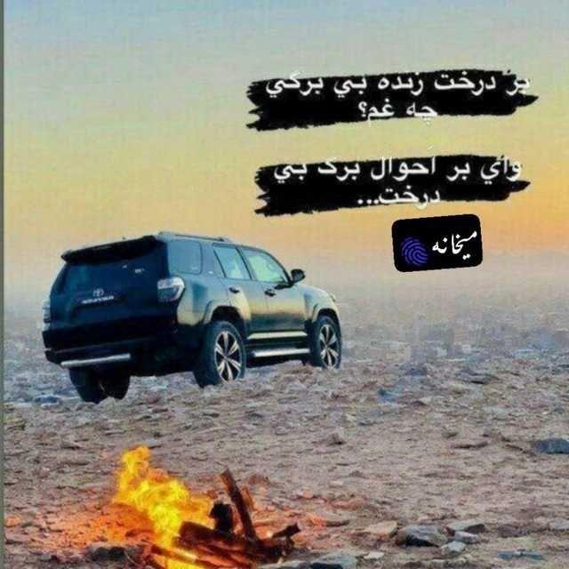 میخانه🫆🥂