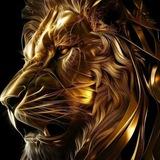 Lion proxi