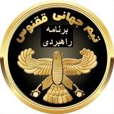 برنامه راهبردی