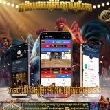 លេងឈ្នះរាល់ថ្ងៃ⚽️💵💸🐔🐔
