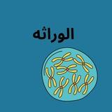 الوراثه