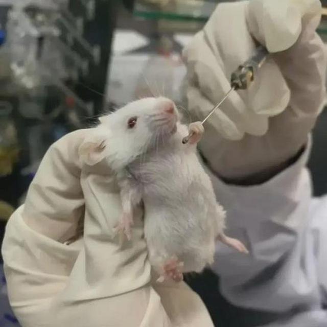 疫苗副作用频道