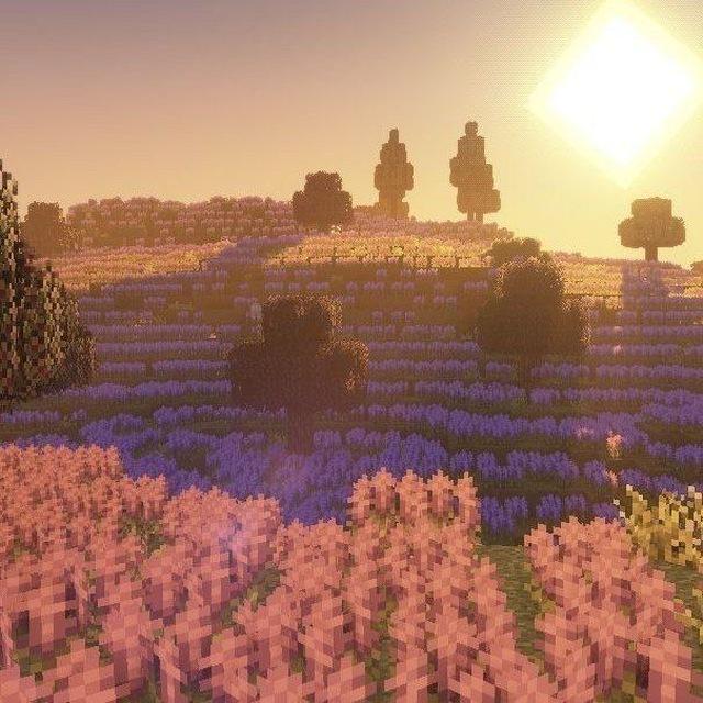 ꧁𝓜𝓲𝓷𝓮𝓬𝓻𝓪𝓯𝓽 𝓲𝓭𝓮𝓪𝓼꧂