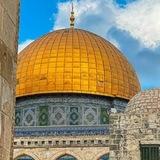 يوسف زمزم الشافعي