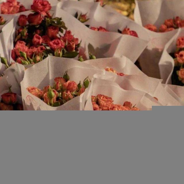 وَنَسّ//رِقَّة فَرَاشَة 🦋🫀. "
