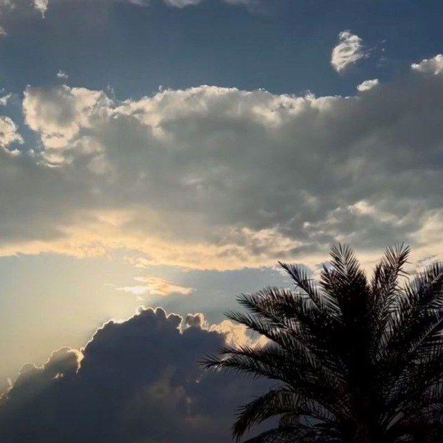 ها.