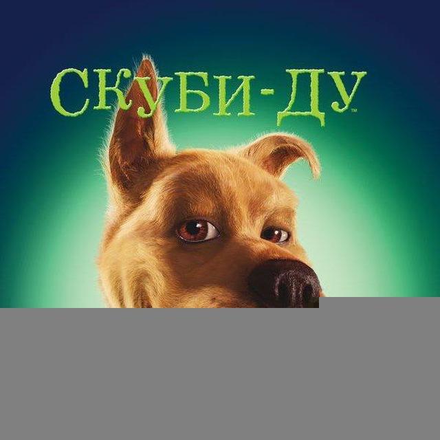 🐕ЗГУБИДАГИ🐕