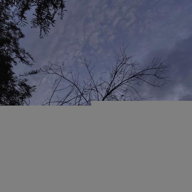 سفینة الزُهد |