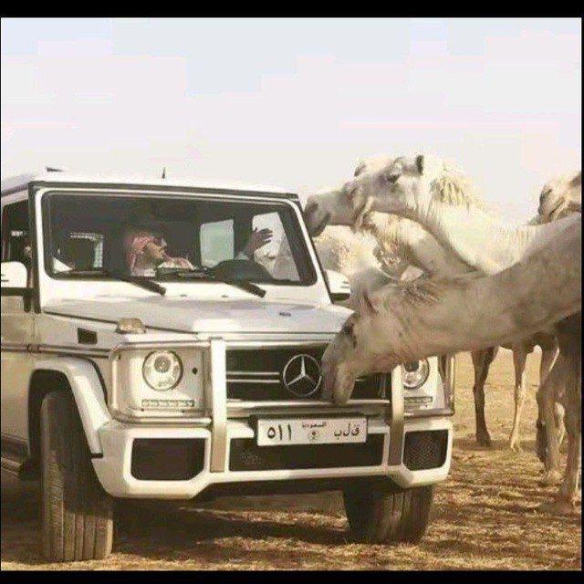 سَاطي