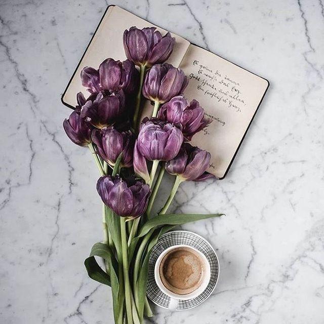 فَضْفَضة قَلبين ♡~