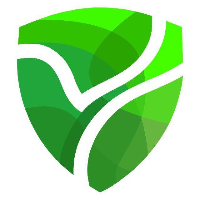 ANN & ASSOCIATES (Accounting)