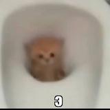 Подвал Чешира