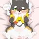 Feral gif Storage