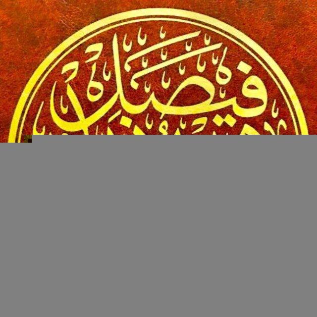 فيصل بن زيد المطيري