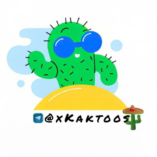 🌵 کاکتوس | cactus