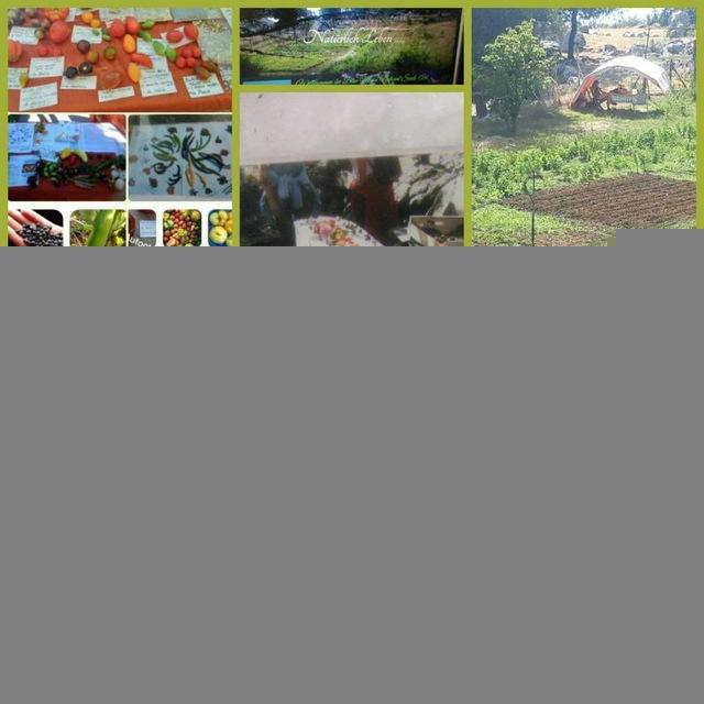 Mutter Erde's Saat & Spirit & Ernte & HumanitaSV