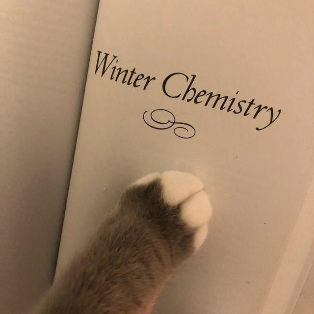 Книги с вб<3
