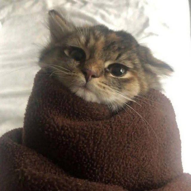 :