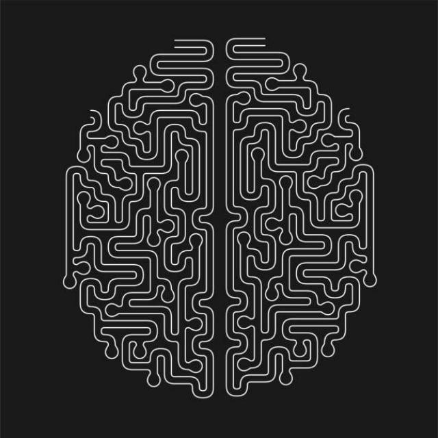BrainMaze Technology