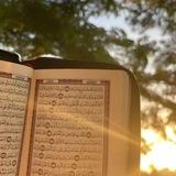 هَادٍ